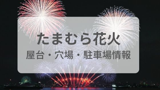 玉村花火　たまむら　屋台　穴場　駐車場　予約　混雑　雨　中止