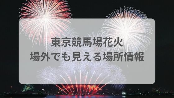 東京競馬場　府中競馬場　花火　場外　見える場所　雨　混雑